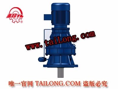 XLSD 立式三級專用電機直聯(lián)型擺線針輪減速器（機）