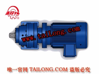 BHWD 臥式單級(jí)專用電機(jī)直聯(lián)型化工部擺線針輪減速器（機(jī)）