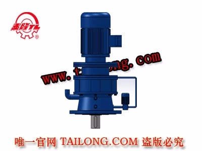 TBLD 新型立式單級專用電機直聯(lián)型擺線針輪減速器（機）